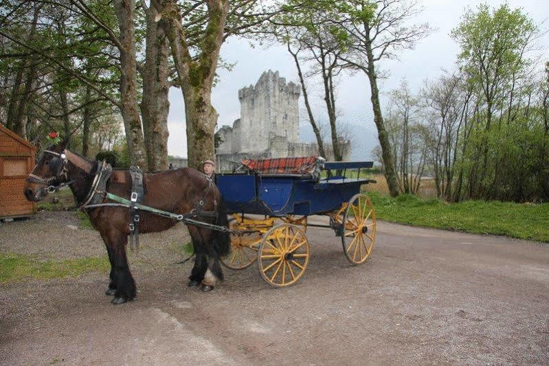 Affittacamere Lake Lodge Guesthouse 4*