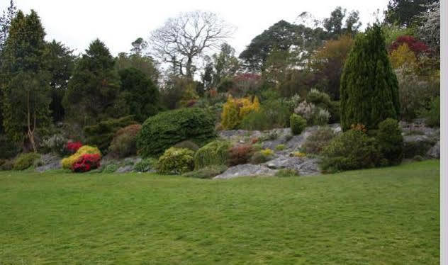 Lake Lodge Guesthouse Cill Airne