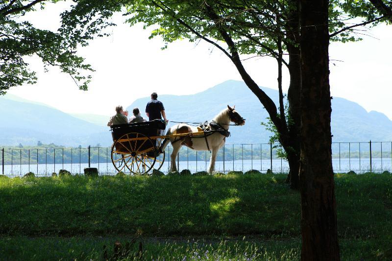 Affittacamere Lake Lodge Guesthouse 4*