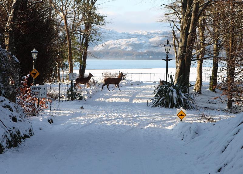 Lake Lodge Guesthouse 4* Cill Airne